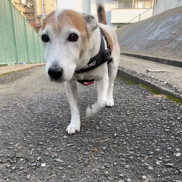 A6c6e84f befe 4b3b a402 51f4e3639bf0 1605134548580