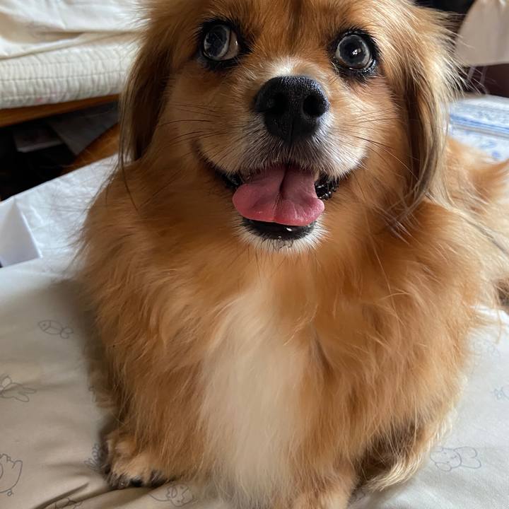 A6c70596 2f42 472f 8a31 8e6a3f30aa57 1627952272218