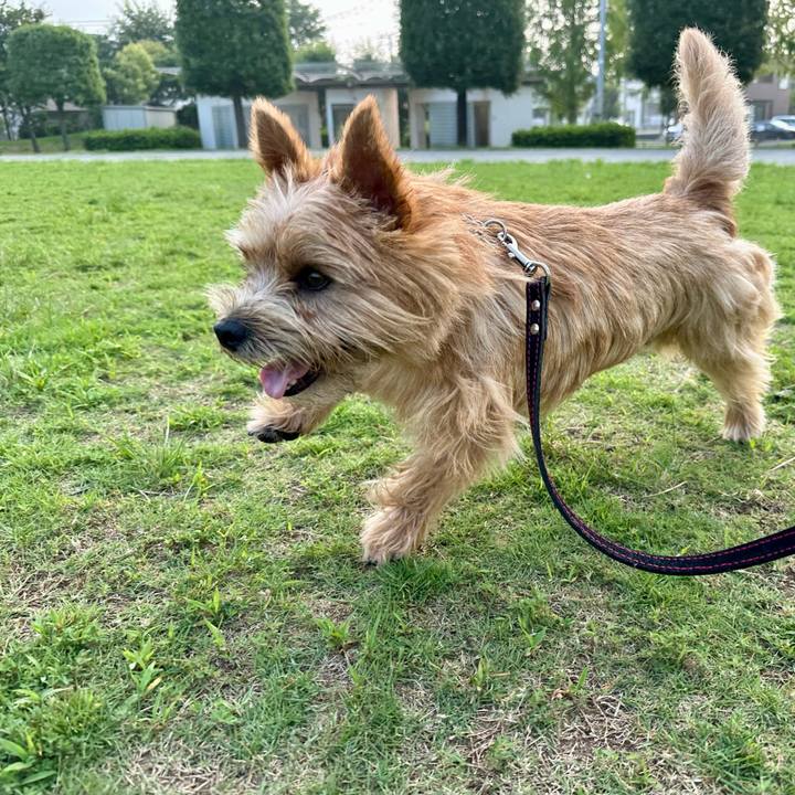 A6c72193 eb7b 49dc 986c e15bdeaad7dc 1752083671770