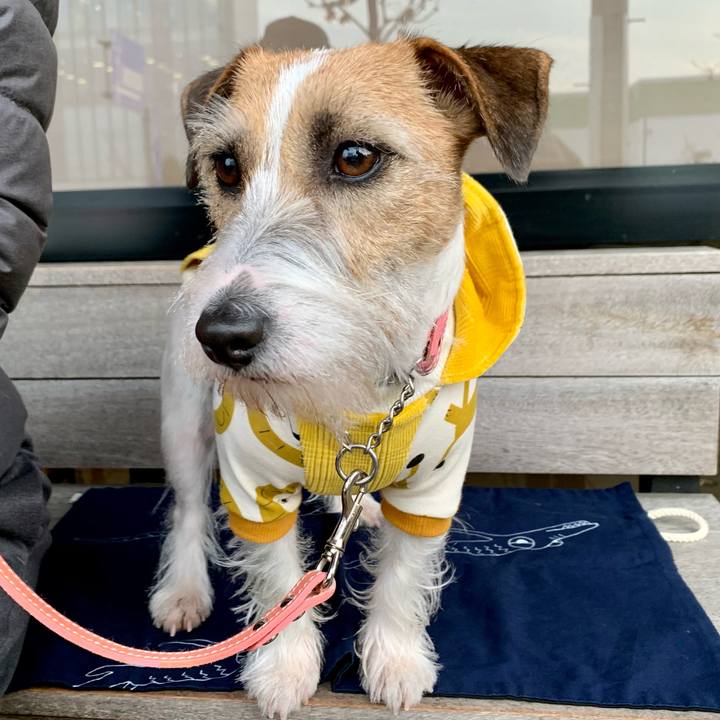 A6c7272d 0d06 48cf 9cb8 c7b843ed41c1 1607773253419