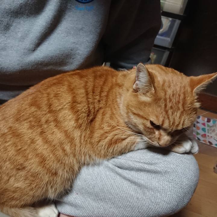 A6c73094 1190 4061 b3d5 dbd123926b13 1607025658737