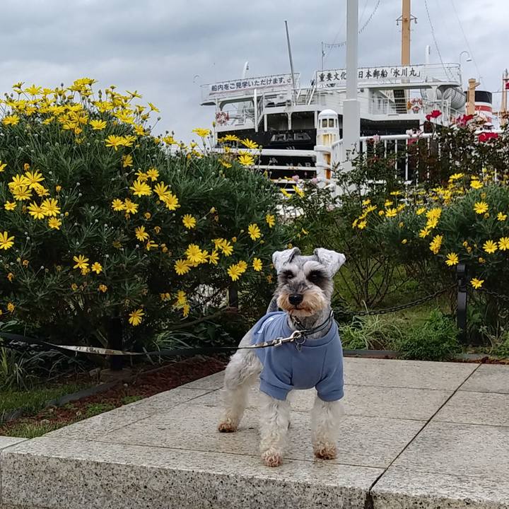 A6c732f0 d442 44fd bcf9 9705c9019821 1542524299576