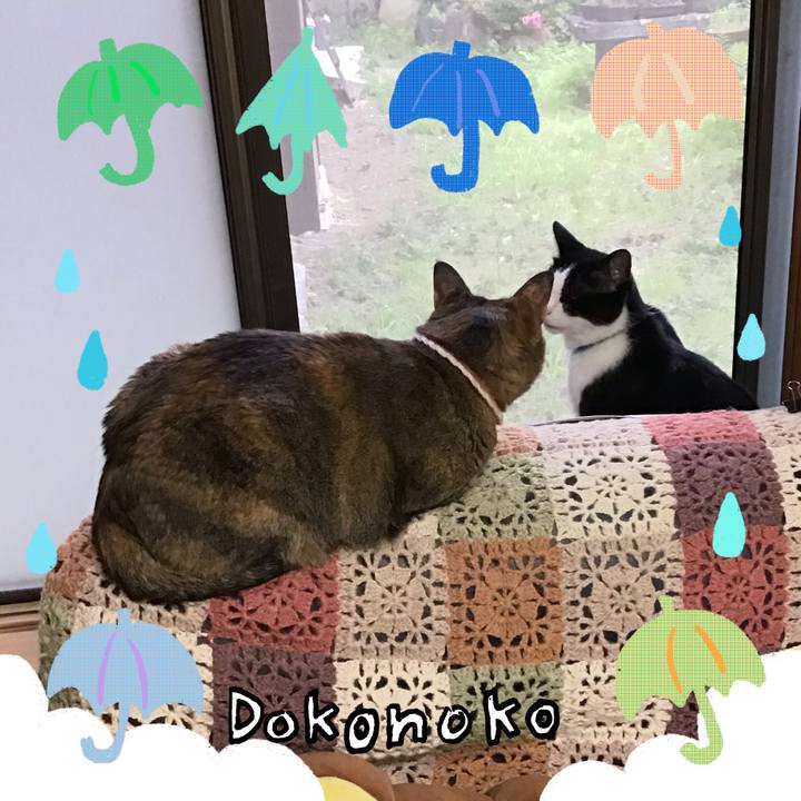 A6c76207 4ef5 42fc 9c16 c18307ee825d 1717925260321