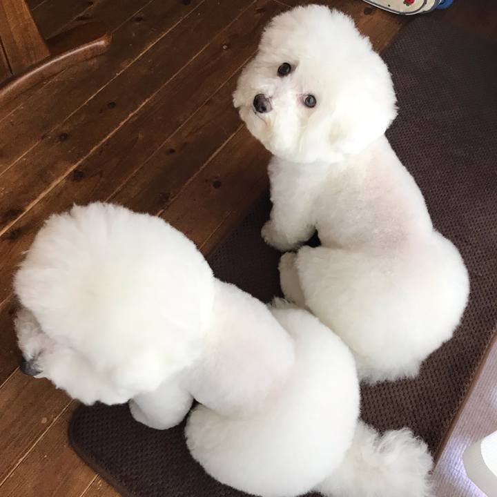 A6c773f0 ca2f 4f36 a291 2b4bd7373cd8 1560406017947