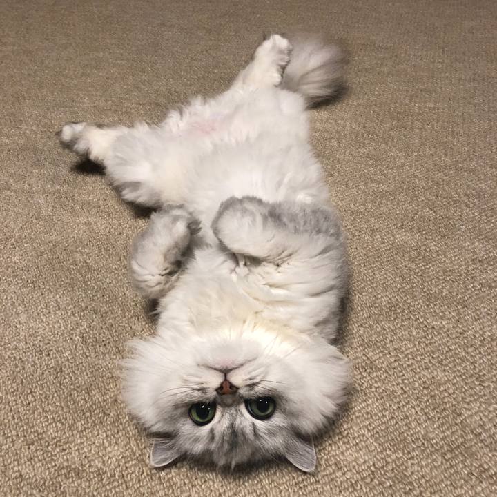 A6c781e3 429b 4240 9842 0e06adea2de8 1563795857964