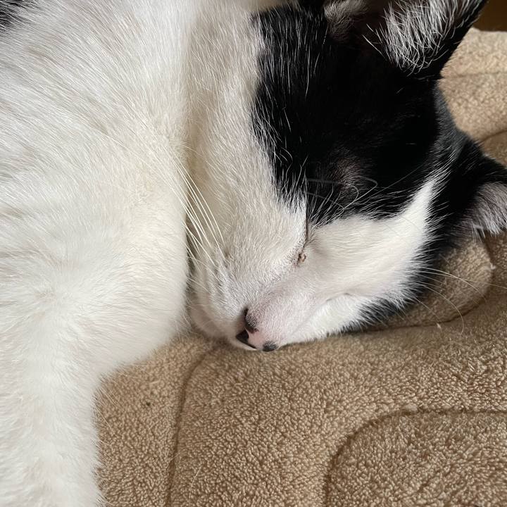 A6c79cb8 b7be 4b2f 9b83 267ec0fcee01 1683242273876