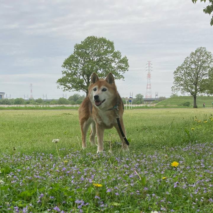 A6c7a8a2 9eeb 4b44 bb15 0e64b0fbb9db 1745825110168