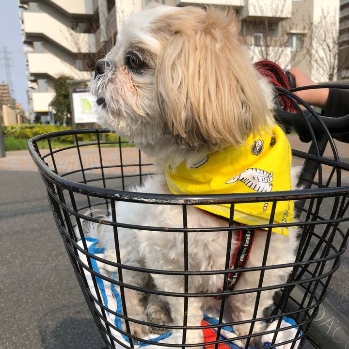 A6c7b025 8f4f 455b a44e a67aa203b8ba 1555105523617