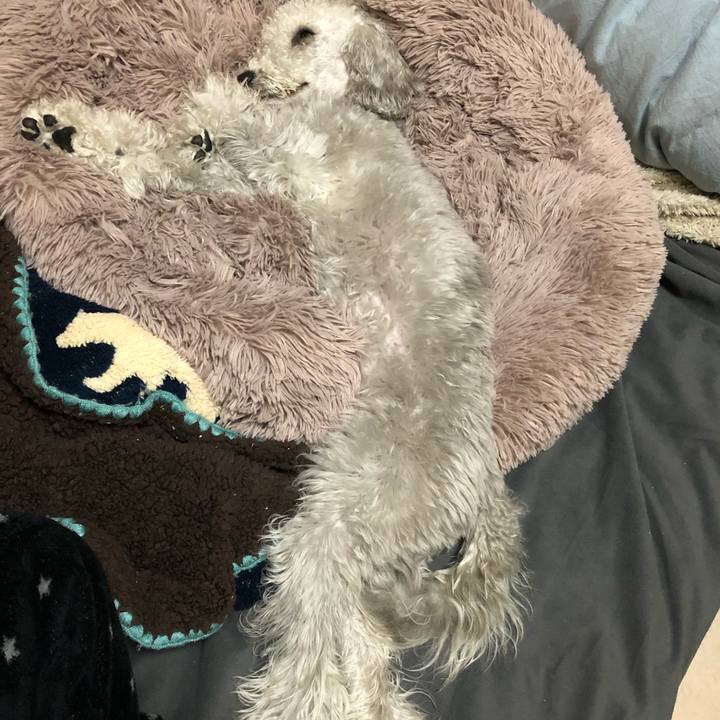 A6c7b7f1 f475 4cd1 a0b2 3c3802acb77d 1586351079290