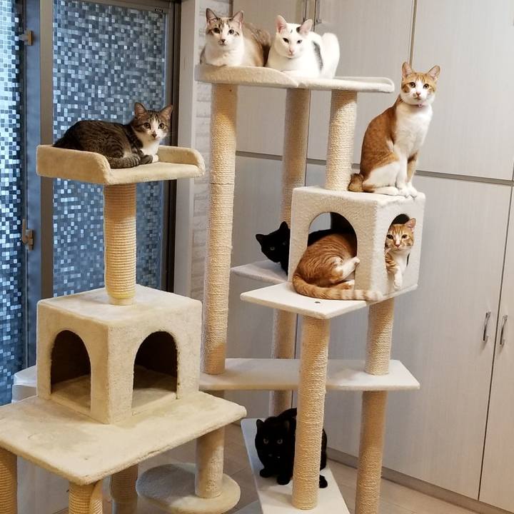 A6c7f7a9 dc7c 47f3 ac64 d43a1848ef44 1523693850983