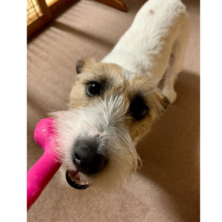 A6c8001f afef 40f5 88b3 770de15e20a2 1620730067904