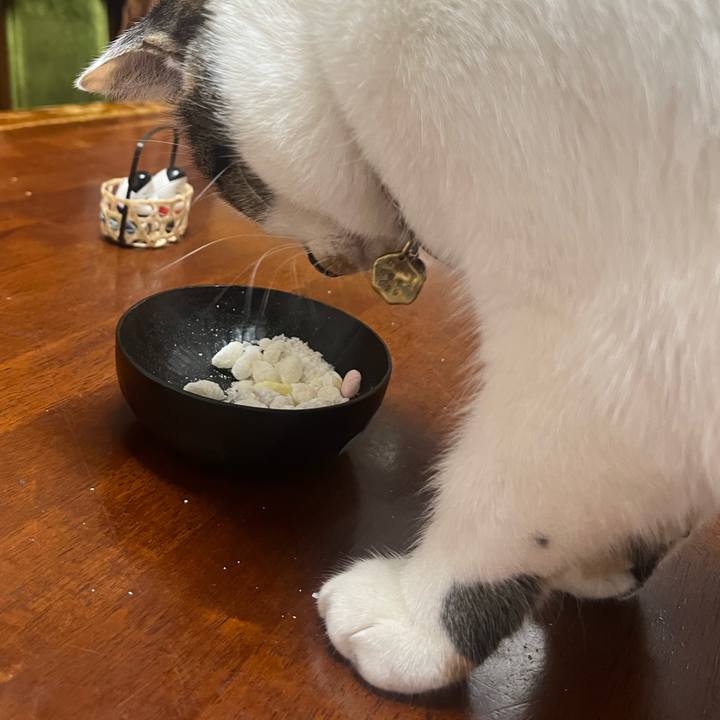 A6c81995 11a6 46aa a364 9dad5a7d551b 1772543845886