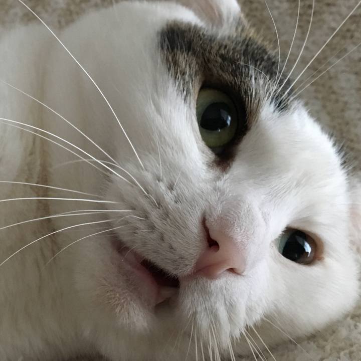 A6c83534 383e 4b5d 92cf 50aa04b7a54d 1511588334667