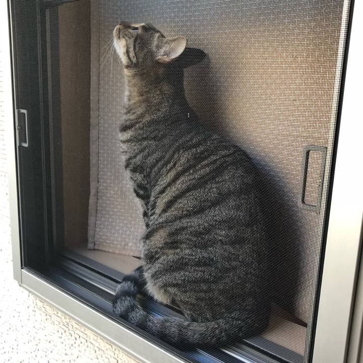 A6c87510 927d 4690 a867 685bb296f8ef 1515459606488