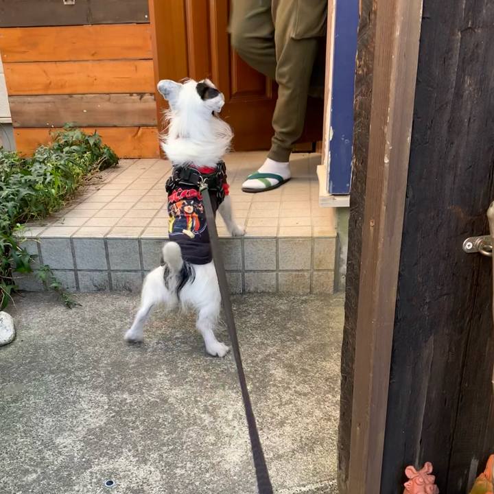 A6c897b3 7560 4572 9c20 06dbbc4e9864 1678754729181