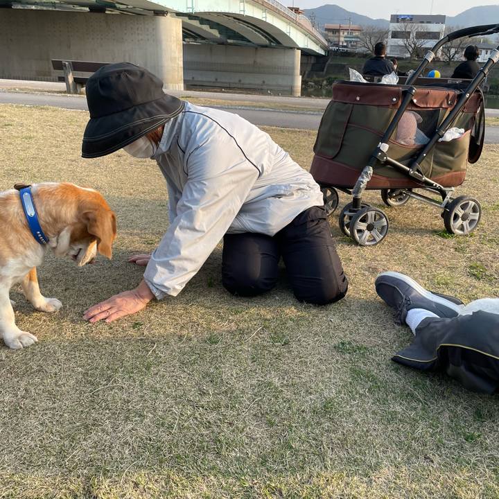 A6c8e132 85d6 473b a6c2 073a10a8f816 1678713777454