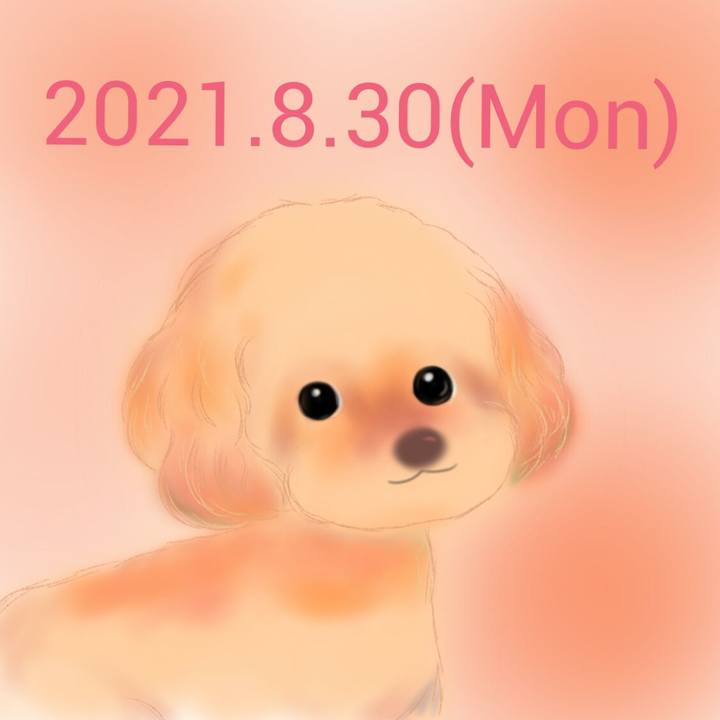 A6c8eccf 9a73 480e 970b cb8c4ef84937 1630324283771
