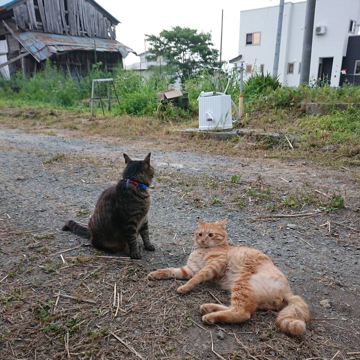 A6c90c46 5e08 453a a3ad 7c2975b3c831 1657573356285