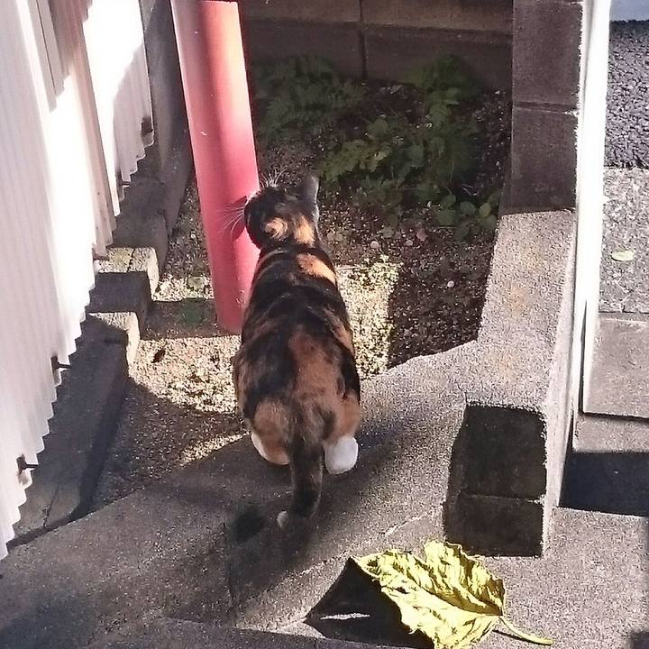 A6c98e3f 1925 4eca 9770 6ad81ece7e0f 1513479320027