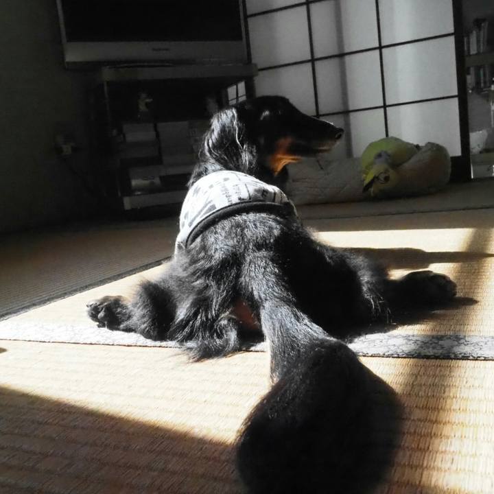 A6c99b94 ca27 4297 af8f fe80d60262e7 1543208224908