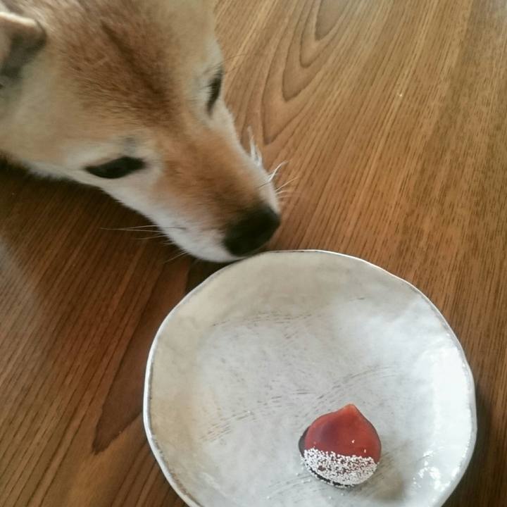 A6c9c44d d4ab 4668 9da4 bd130278ef4f 1509677016856