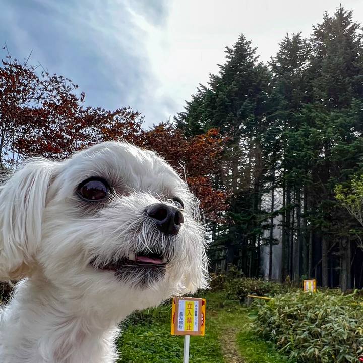 A6ca200b 7afc 4580 ac20 fdb3335410f5 1662518687565