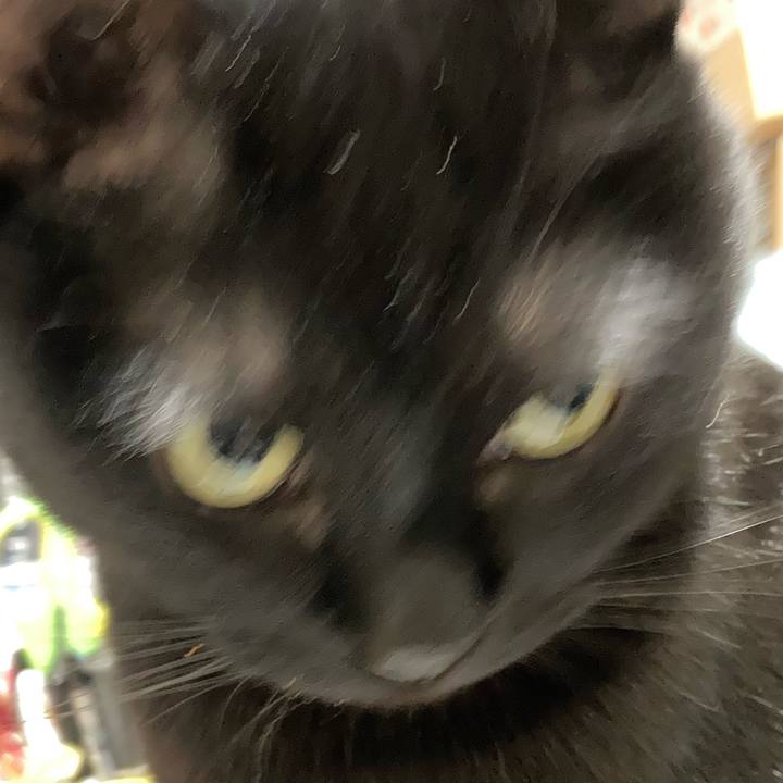 A6ca3b6f 1a76 4a80 95cc 468fd7edf911 1639037910936