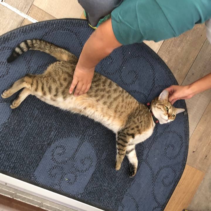 A6ca67b1 799c 4cd2 8561 67335d45e9a7 1659344764392