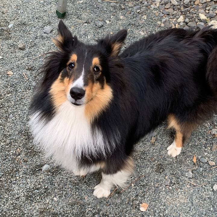 A6caa63d f7ff 4a05 9487 ca7a89ad13da 1557353035881