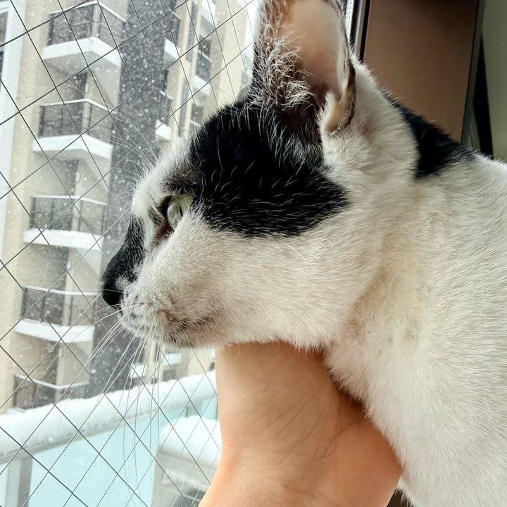 A6caba82 dff1 4912 bdec b6d01673be18 1770605686016