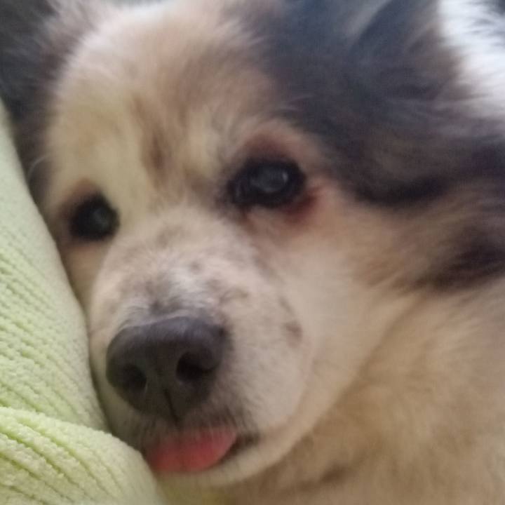 A6cae0cf ca57 492b 9af9 46eb3b9fdd82 1682512722410