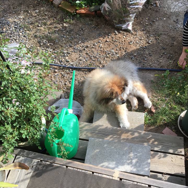 A6caec3c 2bff 4811 9792 d9319fe17052 1556954261680