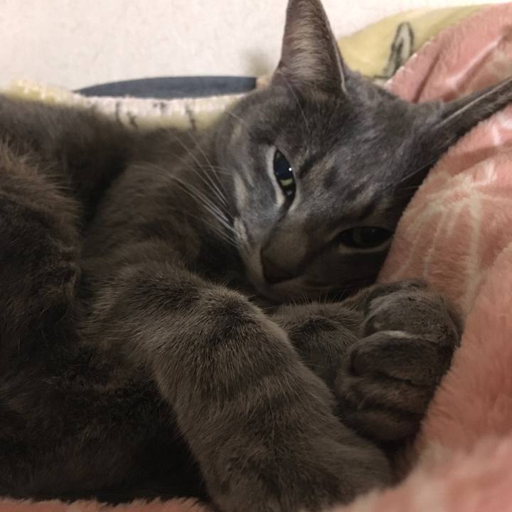 A6caf706 9836 4605 95e3 a77ecd5f8c00 1574029433745