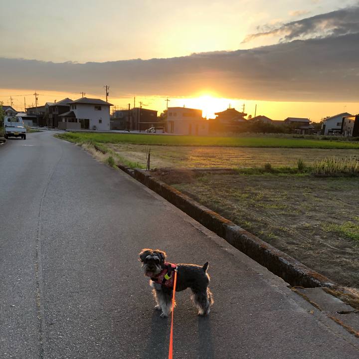 A6cafa86 23fc 408c a594 56959e18e1e4 1593134639460