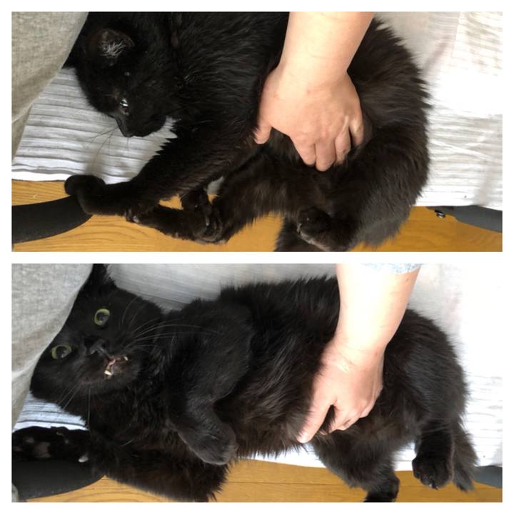 A6cb043b b728 473b b1aa c4744bd29007 1583629523029