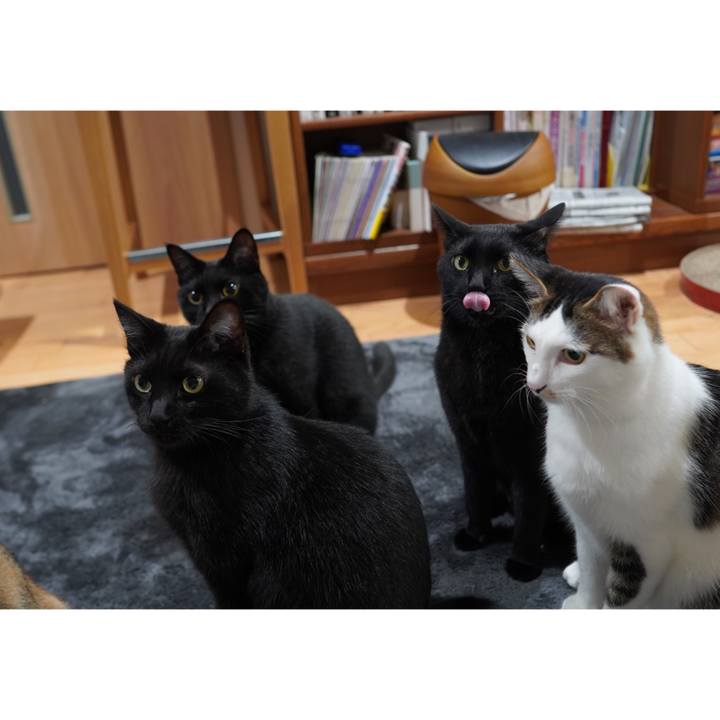 A6cb295a 6ce0 431e b2e6 63fefcf19aa6 1603077471857