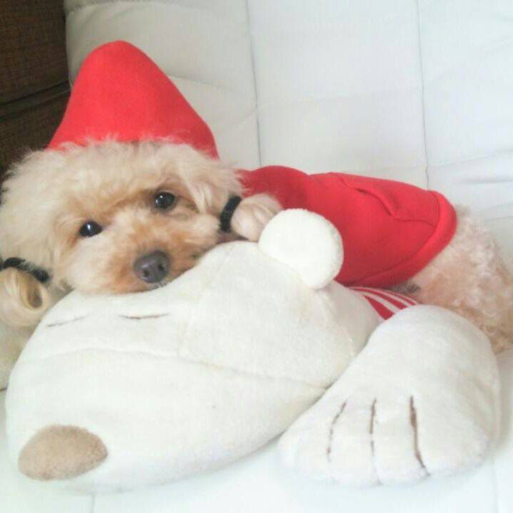 A6cb5deb 6947 4bc4 bec6 49dc23213c41 1543043237869