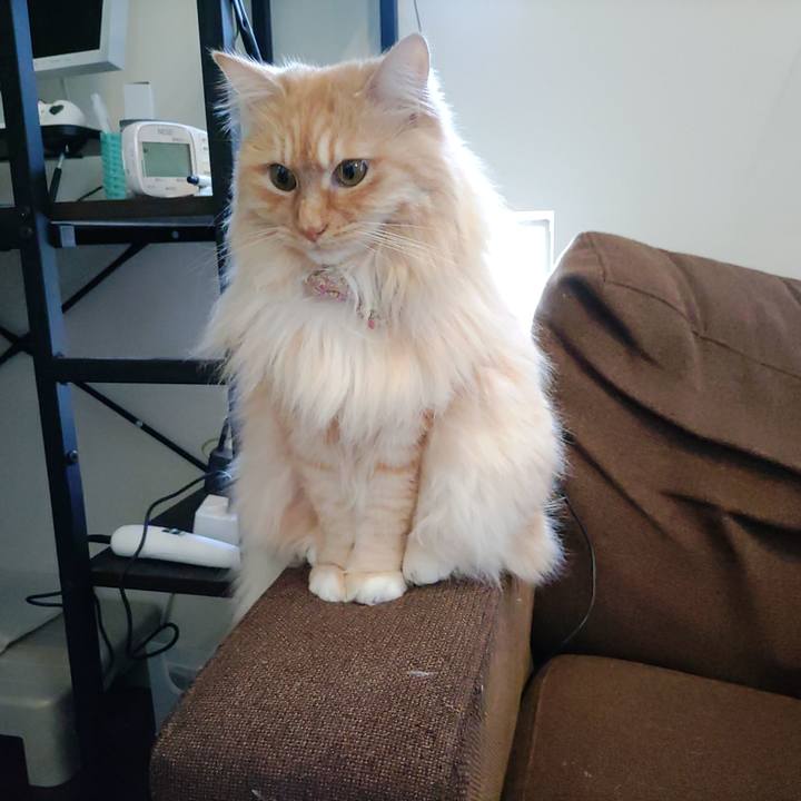 A6cc0d21 b852 43cc a6c7 73b6cd3180b4 1681091754268