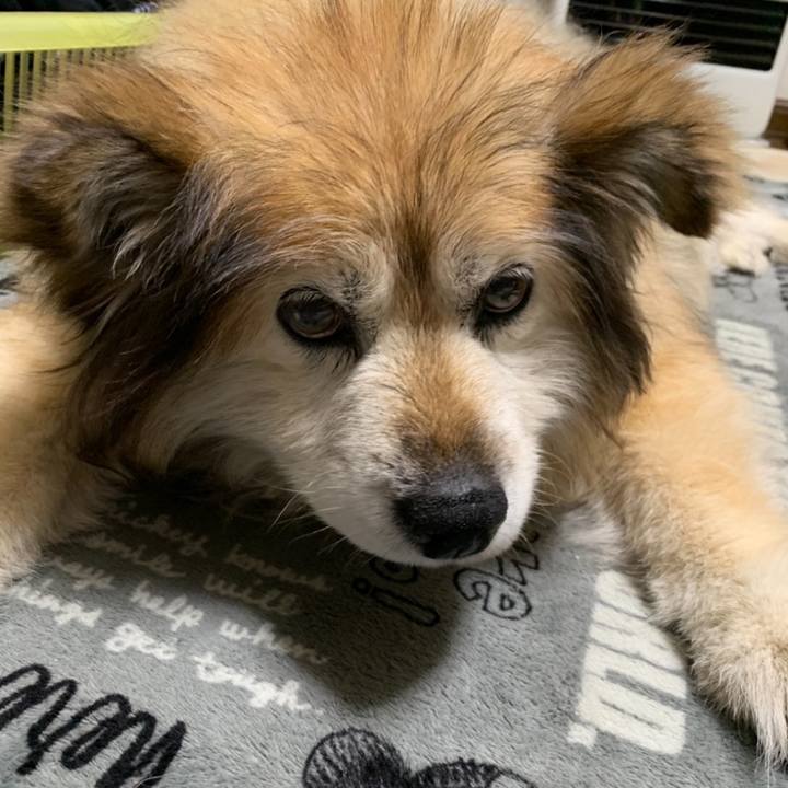 A6cc0f28 db0f 4a5b aaae 549cd1e887a0 1586368118239