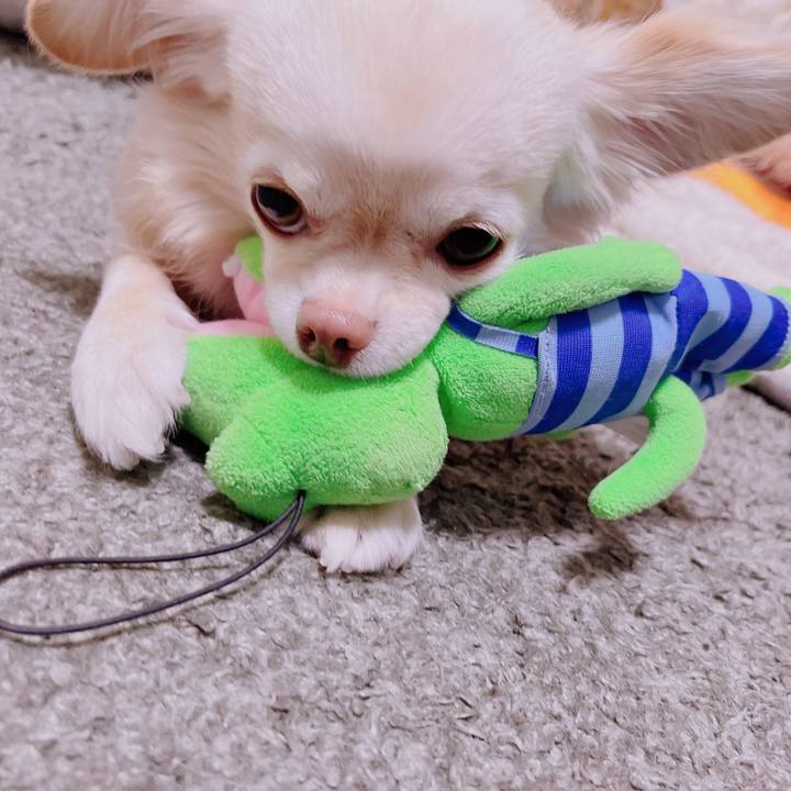 A6cc31d9 0fea 40c1 8330 ca35b8dc4f0a 1682505544082