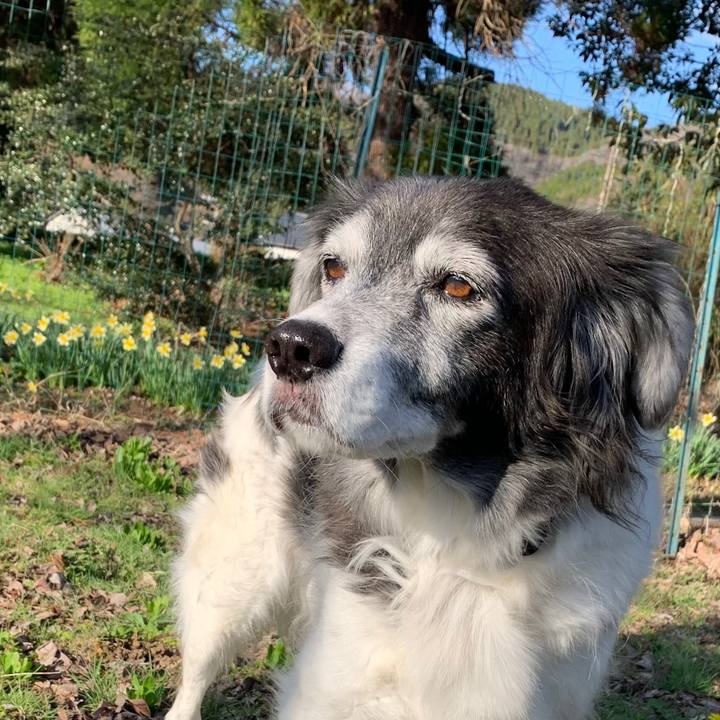 A6cc56b8 c79f 4b9a 843d b0fca12b9f9a 1616672904383