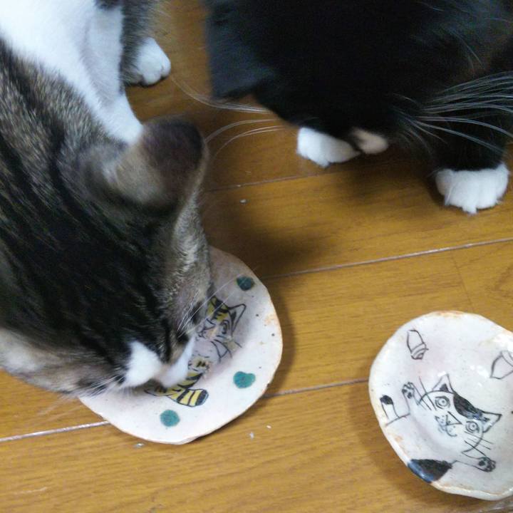 A6cc5f88 911e 4b4b 865b ba42643840ad 1646185266454