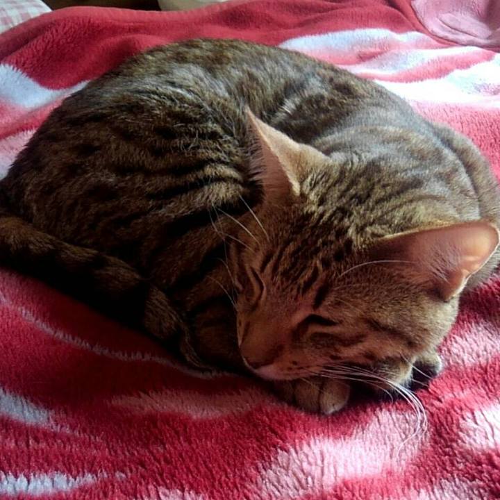 A6cc6e60 aabc 4948 a236 1acd7632b4db 1584110552502