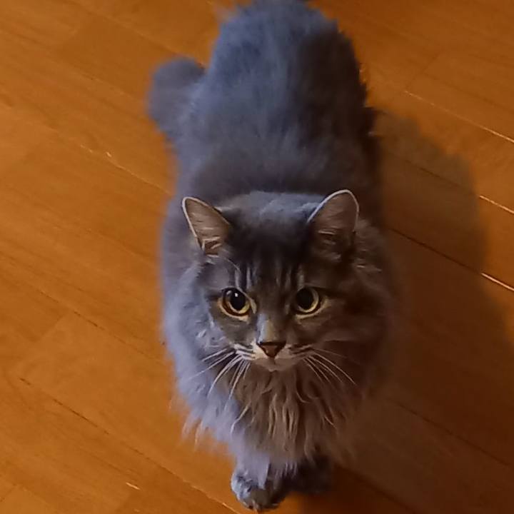 A6cc6f15 336e 4533 b3d8 02978878d6ed 1630399835604