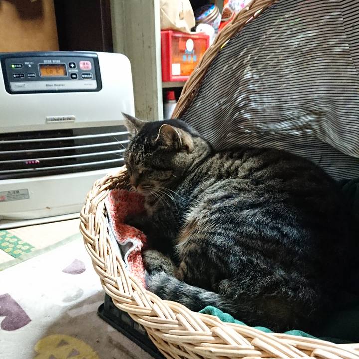 A6cc6fb8 011d 4c0f b8af 0e650c9f113b 1640340611106