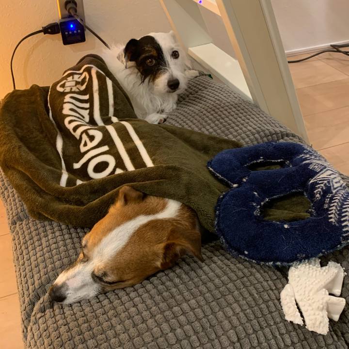 A6cc80bd 6e26 41e7 a8b4 34ac82f6525f 1571144155748