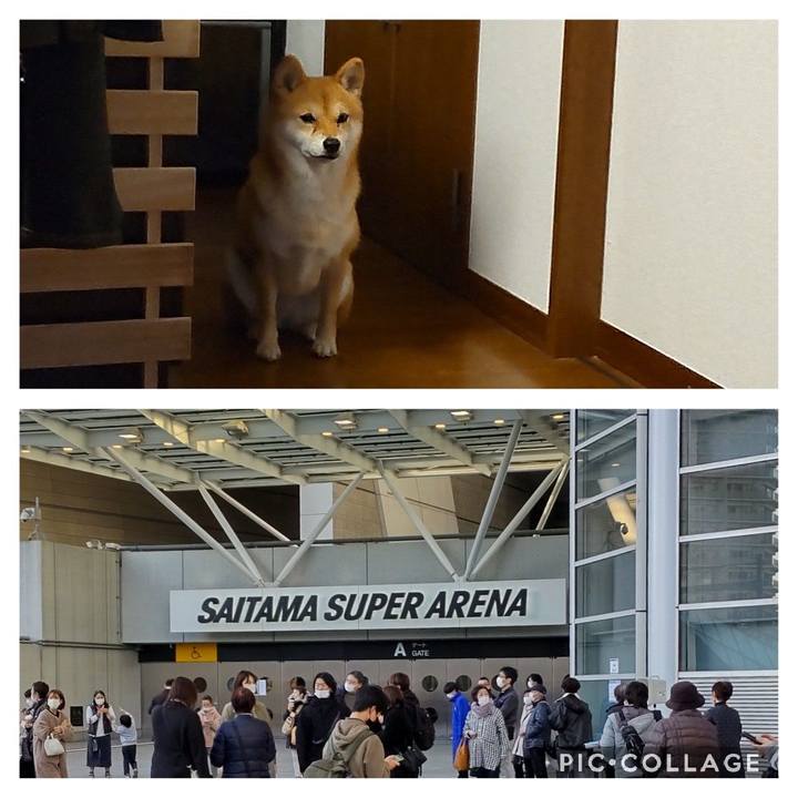 A6cc9e1e 8283 4da8 aefa 889a00e92c05 1670681869646