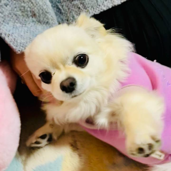 A6cc9eeb b524 4e4c aed5 8d3dd1ddfcff 1738140631971