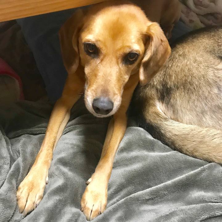 A6ccca25 8010 49d5 bdd3 22828c84b805 1542003628416