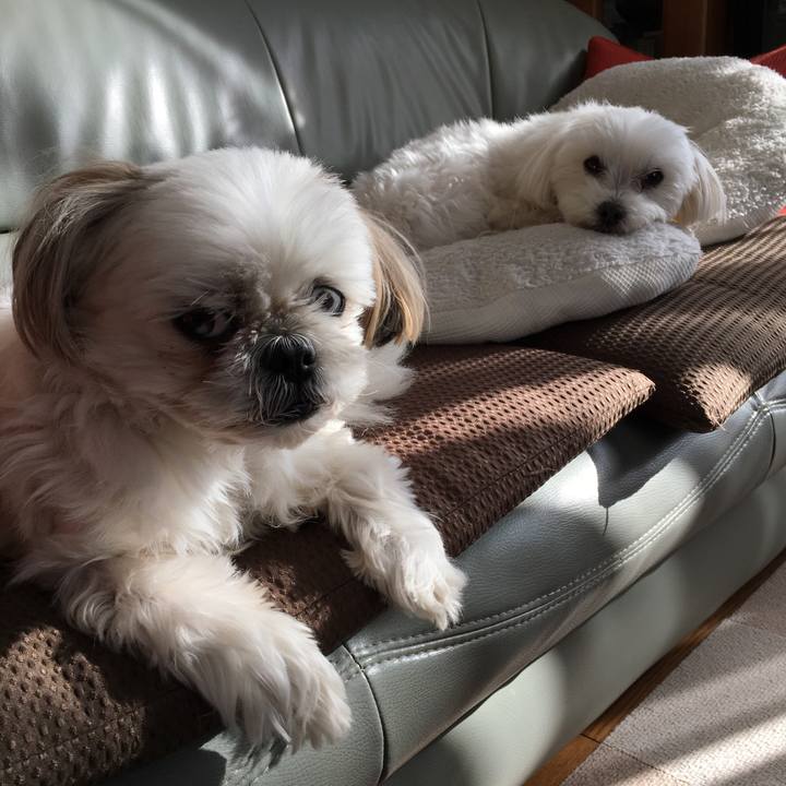 A6ccd34e 3c95 477d bb6c b77d43f6cefc 1577766962901